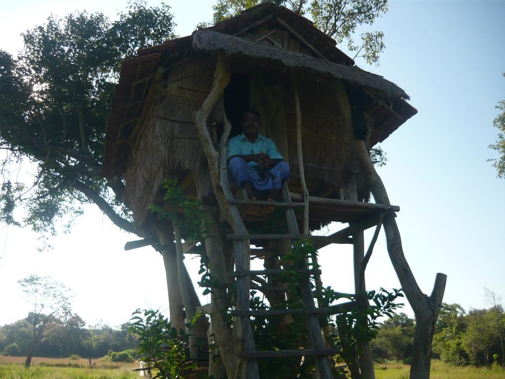 Sunrise Holiday Resort Habarana Exterior foto